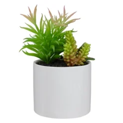 Northlight 9" Artificial Succulent Arrangement In White Ceramic Pot -Northlight Store GUEST 003fb700 e574 4224 932a de498e344e36
