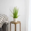 Northlight 24" Artificial Green Onion Grass Plant In Tin Pot 1 Northlight 24" Artificial Green Onion Grass Plant In Tin Pot -Northlight Store GUEST 013e9dc2 7d50 4b67 b7bc c0eb9c8b6d14