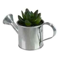 Northlight 4" X Pachyveria Succulent In Water Can Artificial Potted Plant - Green/Silver -Northlight Store GUEST 09bf30b5 bb1b 46f1 8a3d 5359f5d4fc86