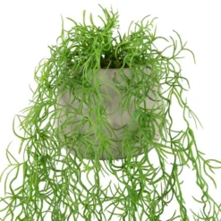 Northlight 22" Artificial Cascading Succulent Plant In Gray Stone Pot -Northlight Store GUEST 0e384a44 8b41 43a7 bc09 fcb495613ade