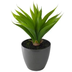Northlight 22" Potted Green Artificial Agave Plant -Northlight Store GUEST 0e5bb128 6f1c 47d6 a2c7 a0229410da89