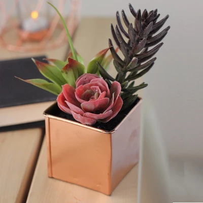 Northlight 7" Mixed Succulent Artificial Potted Arrangement - Green/Purple 4 Northlight 7" Mixed Succulent Artificial Potted Arrangement - Green/Purple - Image 2