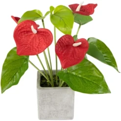 Northlight 12" Red Anthurium Spring Floral Artificial Plant In A Square Pot -Northlight Store GUEST 13b57755 9935 4acb 8955 7d0c52f1e9d0