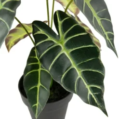 Northlight Real Touch™ Artificial Taro Plant In Black Pot 18" 13 Northlight Real Touch™ Artificial Taro Plant In Black Pot 18" -Northlight Store GUEST 145577fa 80d9 462d b38e 872f802a6461