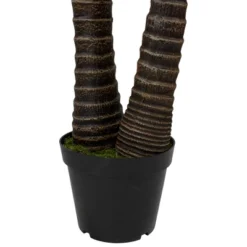 Northlight 5' Potted Two Tone Green Cycas Artificial Floor Plant -Northlight Store GUEST 1a947009 1be8 4dac 9ea7 a03836425014