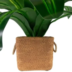 Northlight 27" Artificial Dracaena Plant In Square Rattan Pattern Ceramic Pot -Northlight Store GUEST 1c7e1b17 a527 43c8 8e69 a69711bc1c02