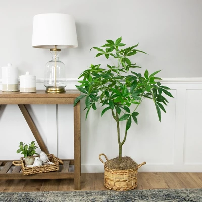 Northlight 4' Artificial Unbraided Potted Green Money Tree 3 Northlight 4' Artificial Unbraided Potted Green Money Tree
