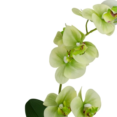 Northlight 14" Ivory, Green, And White Artificial Orchid Potted Plant Tabletop Decor 5 Northlight 14" Ivory, Green, And White Artificial Orchid Potted Plant Tabletop Decor - Image 3