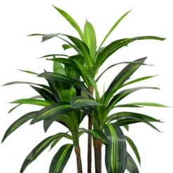Northlight 36" Two-Tone Green Dracaena Artificial Potted Plant -Northlight Store GUEST 220a9815 0d4c 49b7 aa91 28b1e87e463d