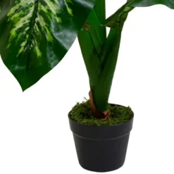 Northlight 36" Artificial Green And Ivory Variegated Leaf Dieffenbachia Potted Plant -Northlight Store GUEST 2327baf3 2447 40de 8905 1a0dd84b403b