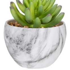 Northlight 4.25" Green Artificial Succulent In Faux Marble Pot -Northlight Store GUEST 23dfdc42 f1ba 4bc9 a101 d8838a270288