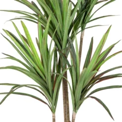 Northlight 5.5' Green Artificial Dracaena Marginata Plant In Black Pot -Northlight Store GUEST 2433163b 63e2 41da 8c25 fe784d6655a0