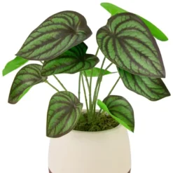 Northlight 10.25" Artificial Peperomia Plant In Two-Tone Ceramic Pot 10 Northlight 10.25" Artificial Peperomia Plant In Two-Tone Ceramic Pot -Northlight Store GUEST 247ab378 491f 4bdc 94d9 eaa7465167c3