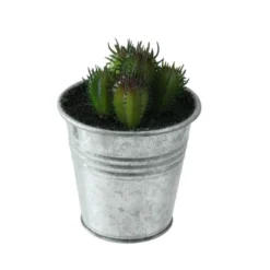 Northlight 4" Echeveria Succulent In Watering Can Artificial Potted Plant - Green/Silver -Northlight Store GUEST 24b90912 609c 4c3c b1a1 04ffc8e7b6e5