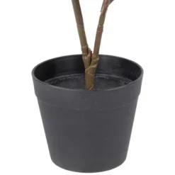 Northlight 26" Dark Green Artificial Potted Fiddle-Leaf Fig Plant -Northlight Store GUEST 29d5a747 a031 4651 8e67 5ce3cad6096b