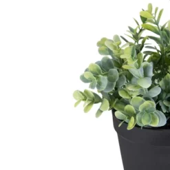 Northlight 10" Green Artificial Melia Azedarach Plant In Black Pot -Northlight Store GUEST 2af5ee98 f287 4cb9 a27e d2a616a5cd68