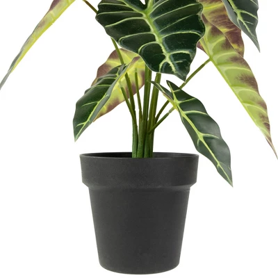 Northlight Real Touch™ Artificial Taro Plant In Black Pot 18" 4 Northlight Real Touch™ Artificial Taro Plant In Black Pot 18" - Image 2