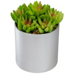 Northlight 4.75" Potted Red And Green Artificial Sedum Succulent 6 Northlight 4.75" Potted Red And Green Artificial Sedum Succulent -Northlight Store GUEST 2bced58b 83f8 4408 b164 a3f44ecee860