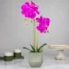 Northlight 14" Purple Artificial Orchid Plant With A Gray Stone Pot 2 Northlight 14" Purple Artificial Orchid Plant With A Gray Stone Pot -Northlight Store GUEST 2c521ab3 c489 4afa 8134 a89652a31377