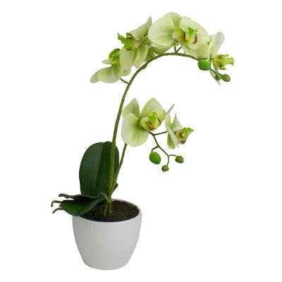 Northlight 14" Ivory, Green, And White Artificial Orchid Potted Plant Tabletop Decor 4 Northlight 14" Ivory, Green, And White Artificial Orchid Potted Plant Tabletop Decor - Image 2