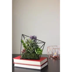 Northlight 6.75" Succulent Artificial Arrangement In Black Wire Terrarium - Green/Black -Northlight Store GUEST 2d318011 0689 4fe6 844c d1d2e766a352