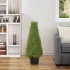 Northlight 3' Artificial Boxwood Cone Topiary Tree With Round Pot, Unlit -Northlight Store GUEST 2e255851 63b8 414c 9c80 fbcaf9d977f3