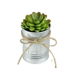 Northlight 7" Sprouting Rose Succulent Artificial Potted Plant - Green/Silver -Northlight Store GUEST 3068cf94 62cf 41db a7a1 84d75342c406