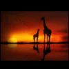 Northlight Safari Sunset LED Back Lit Giraffe And Baby Canvas Wall Art 11.75" X 15.75" -Northlight Store GUEST 32b94150 3b5a 497b bda8 77f6f0410d6a