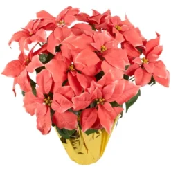 Northlight 20" Dark Pink Artificial Christmas Poinsettia With Gold Wrapped Base 9 Northlight 20" Dark Pink Artificial Christmas Poinsettia With Gold Wrapped Base -Northlight Store GUEST 342355b9 6f8c 43a3 9692 e41fe2676709