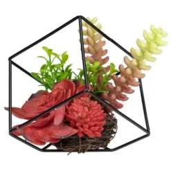 Northlight 5.5" Artificial Succulent Arrangement In Black Metal Wire Frame -Northlight Store GUEST 354157c4 bacb 4833 a9c7 90fe137e0b8a