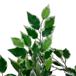 Northlight 47" Artificial Variegated Green And Ivory Leaf Ficus Potted Plant -Northlight Store GUEST 3561e501 068c 4945 a579 5504dcebab76