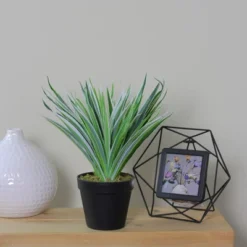 Northlight 13" Two-Tone Grass Artificial Potted Plant - Green/White -Northlight Store GUEST 3659edfc b086 42c0 b6fb 68061a1c4c02