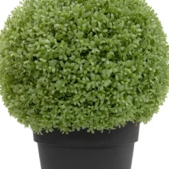 Northlight 22" Artificial Boxwood Ball Topiary In Round Pot, Unlit -Northlight Store GUEST 367a9006 0a07 4ebd a2fe 3e22c2f8f783