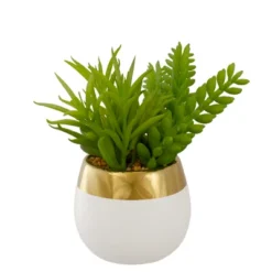 Northlight 6.5" Potted Mixed Artificial Succulent Arrangement -Northlight Store GUEST 36da72af b0f3 403a 8546 02c7b028a54f