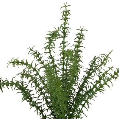 Northlight Real Touch™ Artificial Thyme Plant In Gray Ceramic Pot - 15" 6 Northlight Real Touch™ Artificial Thyme Plant In Gray Ceramic Pot - 15" - Image 4