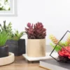 Northlight 7" Purple Artificial Succulent In Faux Wood Pot 2 Northlight 7" Purple Artificial Succulent In Faux Wood Pot -Northlight Store GUEST 3d923c31 9a7e 4885 8615 b43136210eef
