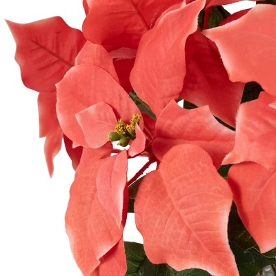 Northlight 20" Dark Pink Artificial Christmas Poinsettia With Gold Wrapped Base 7 Northlight 20" Dark Pink Artificial Christmas Poinsettia With Gold Wrapped Base - Image 5