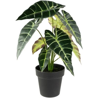 Northlight Real Touch™ Artificial Taro Plant In Black Pot 18" 6 Northlight Real Touch™ Artificial Taro Plant In Black Pot 18" - Image 4