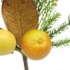 Northlight 19" Autumn Harvest Asheville Fruit Pine And Lemon Artificial Thanksgiving Spray -Northlight Store GUEST 470a406d 7471 4740 93be b2ba6cbcdd36