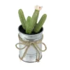 Northlight 6" Columnar Cactus Artificial Potted Plant - Green/Silver -Northlight Store GUEST 480f4088 7b97 4110 aa32 b11c81e60463