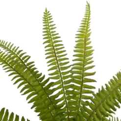 Northlight 12" Artificial Boston Fern Plant In Aztec Pattern Ceramic Pot -Northlight Store GUEST 482b4373 8da2 4742 925a ad6bb6c72c1d