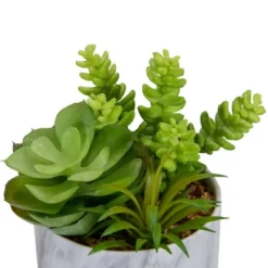 Northlight 6.5" Green Artificial Succulent Arrangement In Faux Marble Pot -Northlight Store GUEST 489e735f 017d 4192 b021 3c87507944ae
