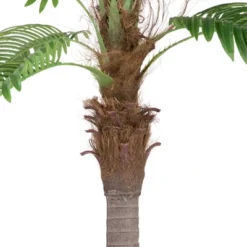 Northlight 8' Unlit Artificial Potted Phoenix Palm Tree -Northlight Store GUEST 5318f86b 1249 4073 be53 e3c279e7b7cd