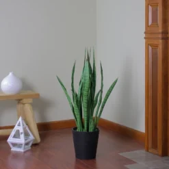 Northlight 3' Green Two Tone Potted Artificial Snake Plant 7 Northlight 3' Green Two Tone Potted Artificial Snake Plant -Northlight Store GUEST 531da7ca 29e0 42d3 8549 140361fe162e