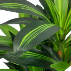 Northlight 36" Two-Tone Green Dracaena Artificial Potted Plant -Northlight Store GUEST 54c47f22 1dce 442b bcea 585f16d29107