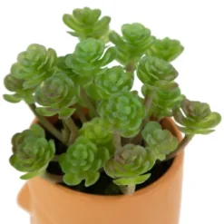 Northlight 5.5" Mini Artificial Succulent In Face Planter Pot 11 Northlight 5.5" Mini Artificial Succulent In Face Planter Pot -Northlight Store GUEST 55a0520b 8ac1 4bbc 9eb9 fa86aa194d20