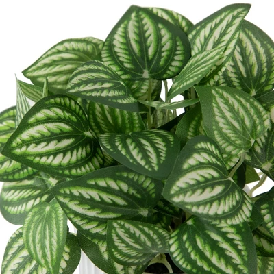 Northlight 6.5" Artificial Watermelon Peperomia Plant In White Pot 6 Northlight 6.5" Artificial Watermelon Peperomia Plant In White Pot - Image 4