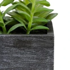 Northlight 23" Artificial Mixed Succulent Plants In A Rectangular Planter -Northlight Store GUEST 56524abe c9b9 4043 a816 86adb8d65395