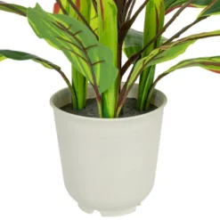Northlight 25" Dracaena Artificial Potted Plant - Green/White -Northlight Store GUEST 5cf2fd2c 11ba 457c b1fa e2f778c17b32