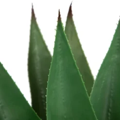 Northlight 26" Green Agave Americana Succulent Artificial Potted Plant -Northlight Store GUEST 5cf7d914 f2b5 4535 a21d c9365fa74e53